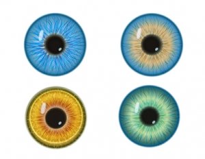 Etude sur la santé visuelle