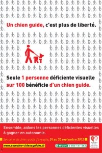 affiche pour chien guide aveugle