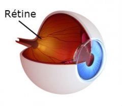 oeil-retine-DMLA