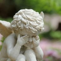 conjonctivite allergique