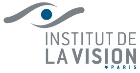 logo institut de la vision