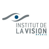 institut de la vision